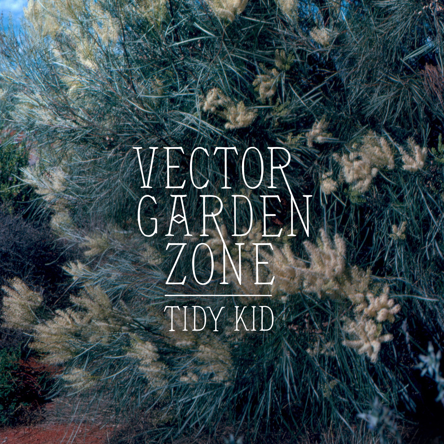 Vector Garden Zone
