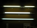 lightbulbs